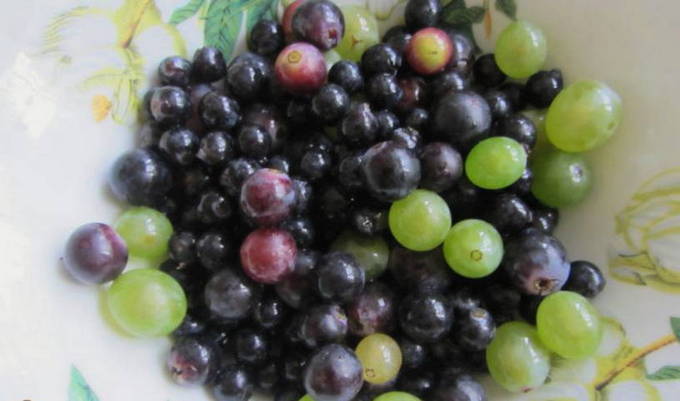Чача из винограда в домашних условиях - 7 простых рецептов с фото пошагово