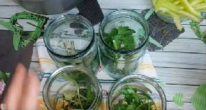 Маринованные огурцы с лимонной кислотой на зиму Маринованные огурцы с лимонной кислотой на зиму