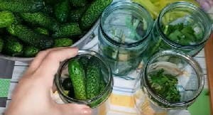 Маринованные огурцы с лимонной кислотой на зиму Маринованные огурцы с лимонной кислотой на зиму