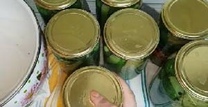 Маринованные огурцы с лимонной кислотой на зиму Маринованные огурцы с лимонной кислотой на зиму