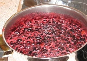 Заготовки из жимолости на зиму Заготовки из жимолости на зиму