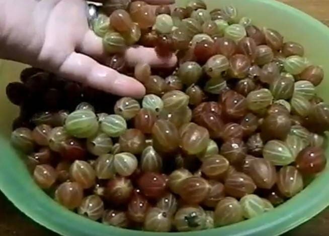 Джем из крыжовника на зиму Джем из крыжовника на зиму