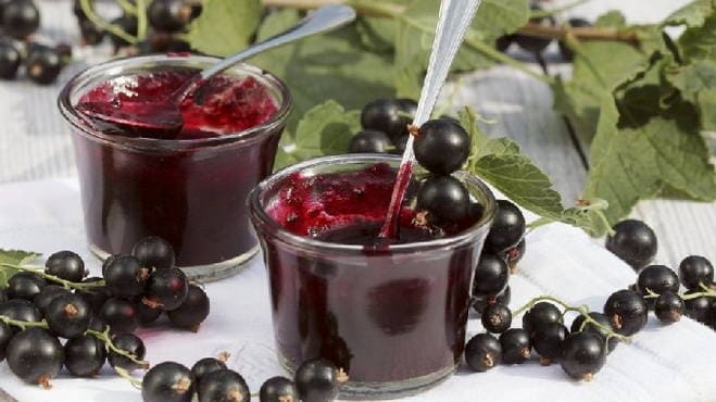 Черная смородина, протертая с сахаром, без варки на зиму