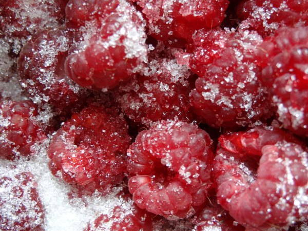 Малина, перетертая с сахаром, на зиму без варки рецепты, пропорции Малина, перетертая с сахаром, на зиму без варки рецепты, пропорции