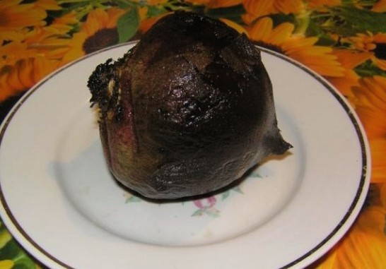 Салаты из свеклы с маслом Салаты из свеклы с маслом