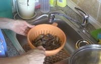 Маринад для опят на зиму Маринад для опят на зиму