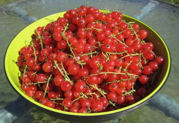 Джем из красной и черной смородины Джем из красной и черной смородины