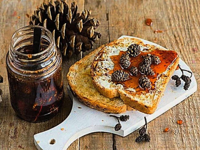 Мед из зеленых шишек сосны Мед из зеленых шишек сосны