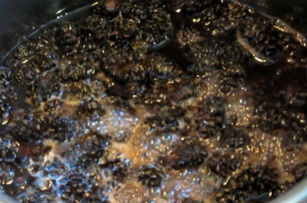Варенье из сосновых шишек с кедровыми орешками Варенье из сосновых шишек с кедровыми орешками