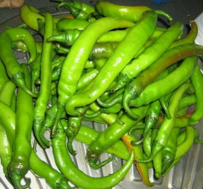 Горький перец в томатном соке на зиму