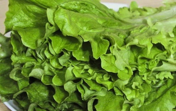 ПП лаваш с тунцом