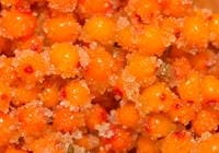 Облепиха на зиму без варки Облепиха на зиму без варки