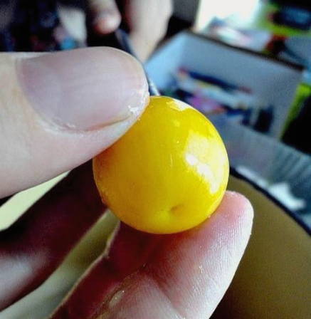 Маринованная алыча как оливки на зиму