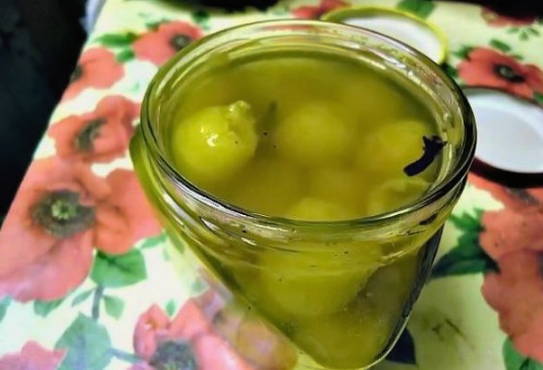 Маринованная алыча как оливки на зиму