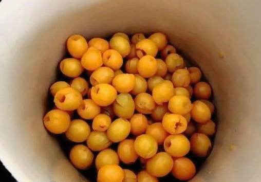 Маринованная алыча как оливки на зиму