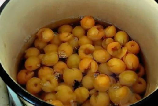 Маринованная алыча как оливки на зиму