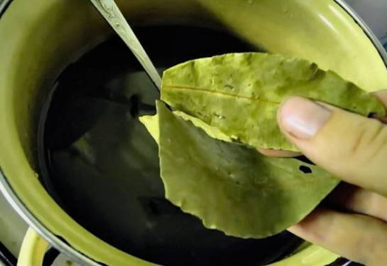 Маринованная алыча как оливки на зиму