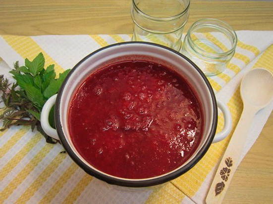 Соус из красной алычи к мясу на зиму очень вкусный Соус из красной алычи к мясу на зиму очень вкусный