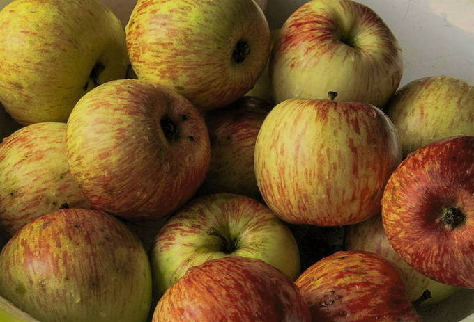 Прозрачное варенье из яблок дольками пятиминутка