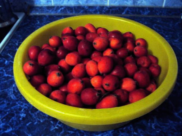 Джем из ранеток в домашних условиях на зиму