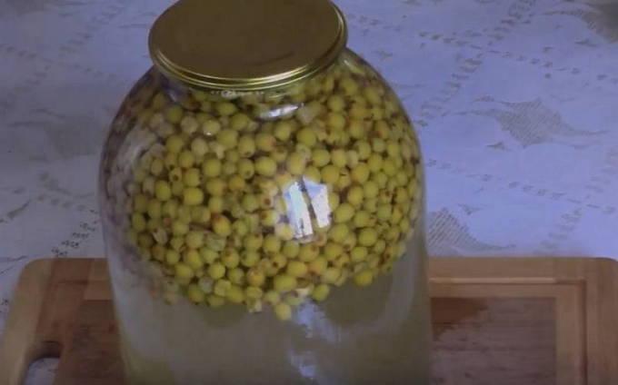 Компот из облепихи на 2-литровую банку на зиму