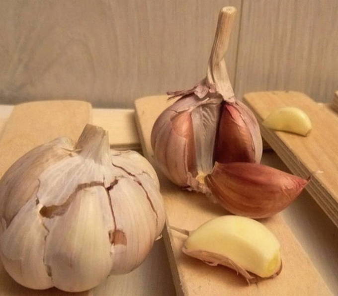 Рулетики из баклажанов с грецкими орехами