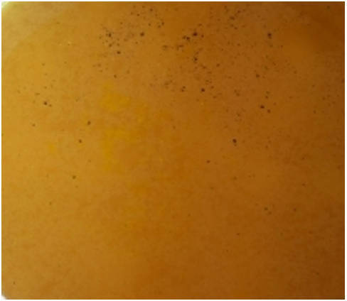 Суп с копчёной курицей и плавленым сыром