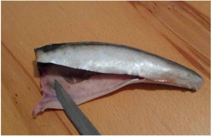 Скумбрия с картошкой и луком в духовке