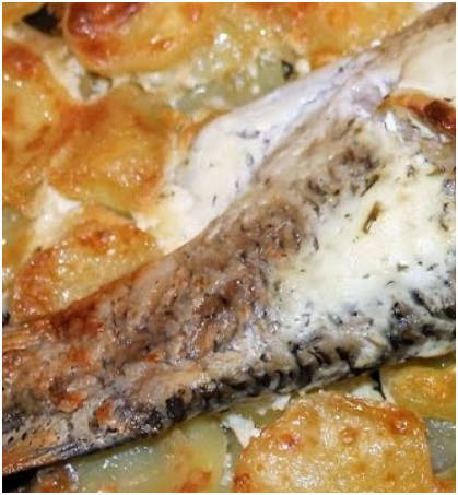 Скумбрия с картошкой и луком в духовке