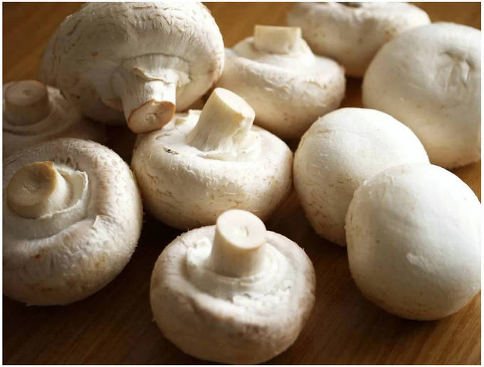 Шампиньоны в сметане на сковороде