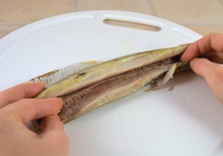 Селедка под шубой с луком Селедка под шубой с луком