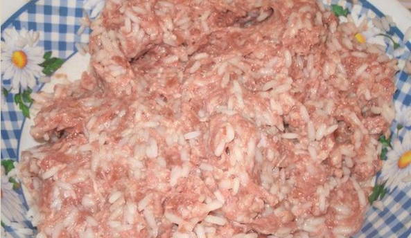 Голубцы из пекинской капусты в кастрюле с фаршем и рисом Голубцы из пекинской капусты в кастрюле с фаршем и рисом
