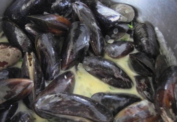 Мидии в раковинах в сливочном соусе