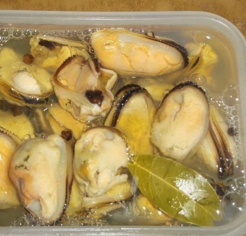 Маринованные мидии в домашних условиях Маринованные мидии в домашних условиях
