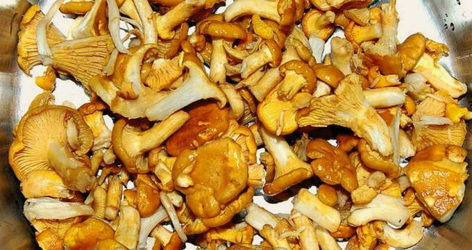Салат Лисичка с корейской морковкой Салат Лисичка с корейской морковкой