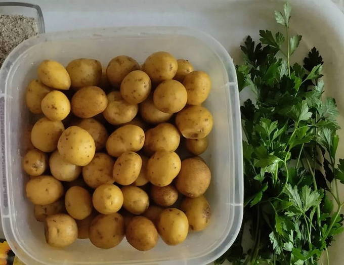 Молодая картошка в духовке Молодая картошка в духовке