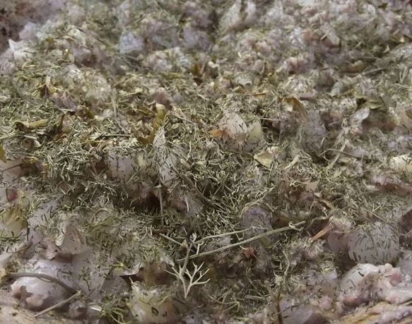 Кулебяка с мясом