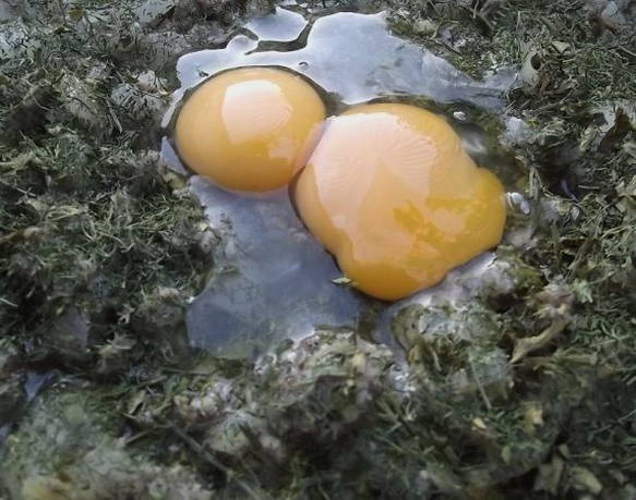 Кулебяка с мясом