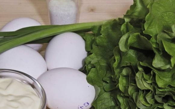 Салат из листьев салата