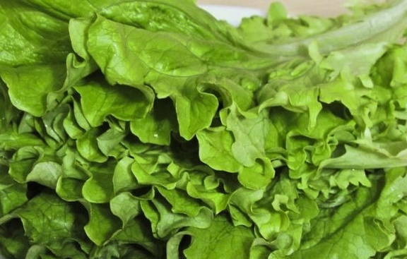 Салат из листьев салата