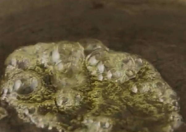 Грецкие орехи с медом Грецкие орехи с медом