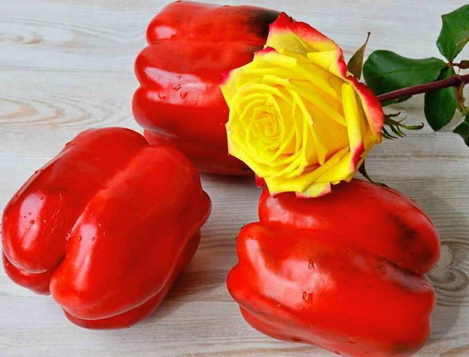 Салат из капусты, перца, моркови и лука на зиму