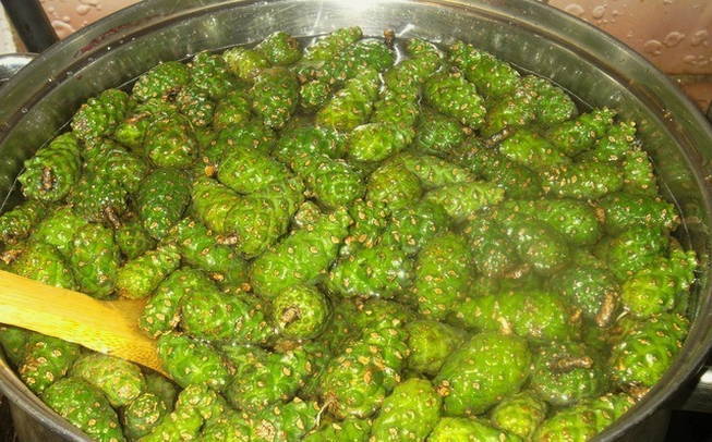 Варенье из еловых шишек Варенье из еловых шишек