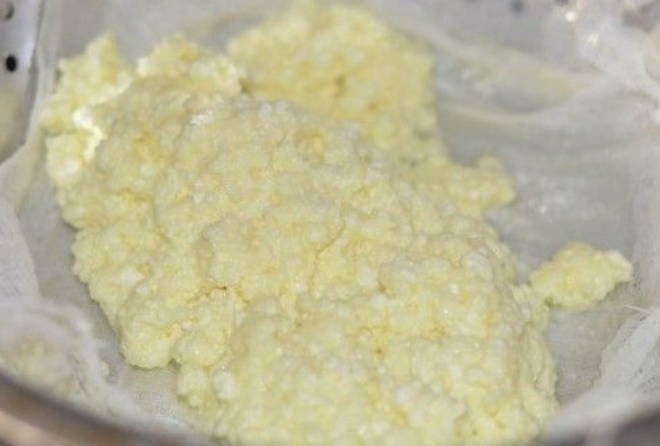 Сыр из творога и молока Сыр из творога и молока