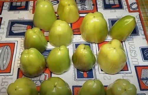 Фаршированный перец с овощами на зиму в банках Фаршированный перец с овощами на зиму в банках