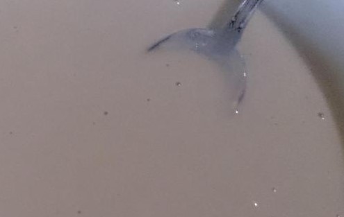 Жареные пышки на воде Жареные пышки на воде