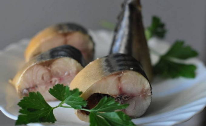 Копченая скумбрия в домашних условиях Копченая скумбрия в домашних условиях