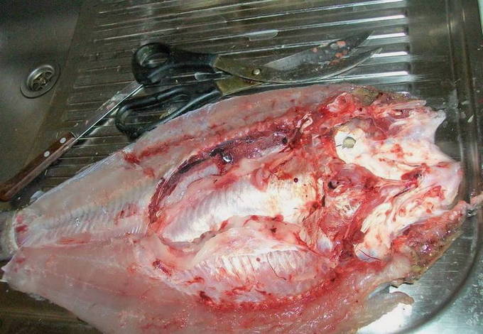 Балык из жереха