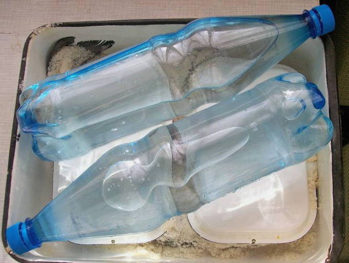 Балык из жереха