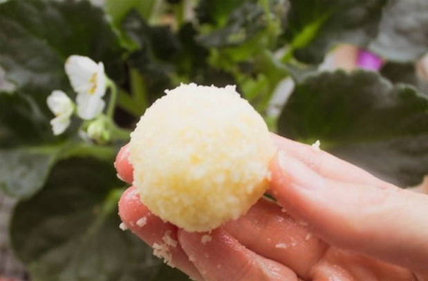 Печенье «Кокосанка»